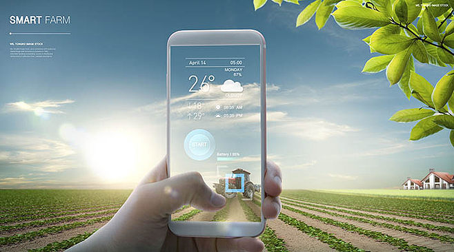 科技賦能未來 智能手機(jī)在智能農(nóng)業(yè)管理中的應(yīng)用
