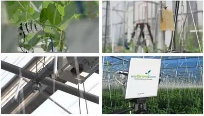 人工智能農(nóng)業(yè) 互聯(lián)網(wǎng)巨頭種黃瓜獲獎(jiǎng)背后的技術(shù)革命